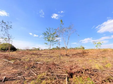 Chácara à Venda, 35217 M² por R$ 2.000.000,00 - Setor Central - Caturaí/Go