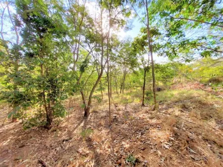 Chácara à Venda, 35217 M² por R$ 2.000.000,00 - Setor Central - Caturaí/Go