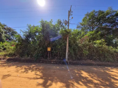 Terreno à Venda, 2000 M² por R$ 265.000,00 - Residencial Ecologico Vale das Palmeiras - Bela Vista de Goiás/Go