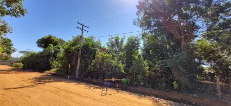 Terreno à Venda, 2000 M² por R$ 265.000,00 - Residencial Ecologico Vale das Palmeiras - Bela Vista de Goiás/Go