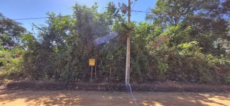 Terreno à Venda, 2000 M² por R$ 265.000,00 - Residencial Ecologico Vale das Palmeiras - Bela Vista de Goiás/Go