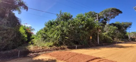 Terreno à Venda, 2000 M² por R$ 265.000,00 - Residencial Ecologico Vale das Palmeiras - Bela Vista de Goiás/Go