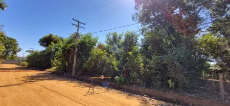 Terreno à Venda, 2000 M² por R$ 265.000,00 - Residencial Ecologico Vale das Palmeiras - Bela Vista de Goiás/Go