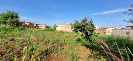 Terreno à Venda, 231 M² por R$ 90.000,00 - Sao Bernardo - Goianira/Go